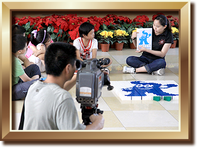 多米諾專題節目登錄央視 