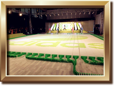 創造最大多米諾標識紀錄 