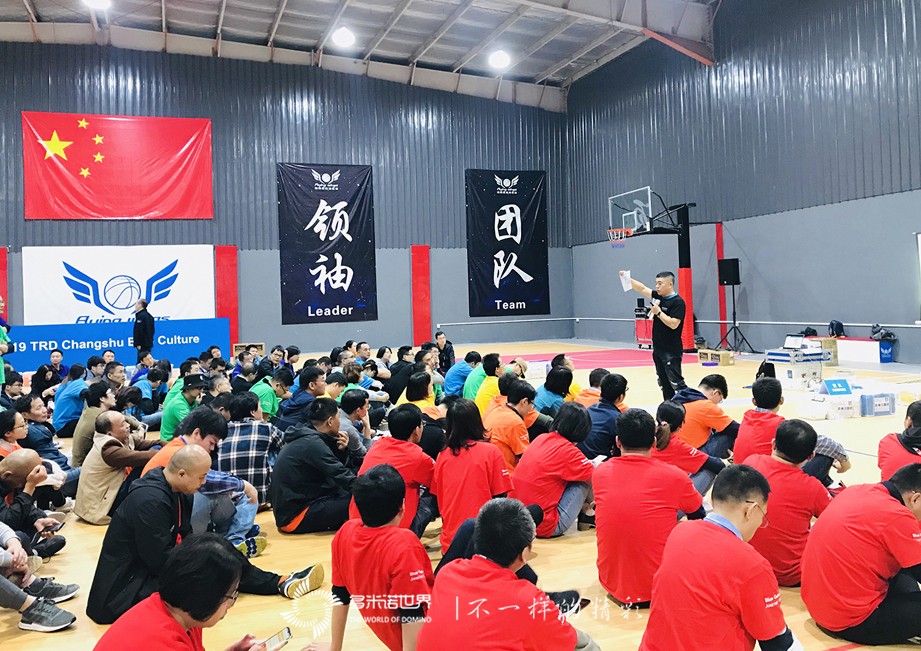 諾華藍色文化之旅，在多米諾世界揚帆啟航