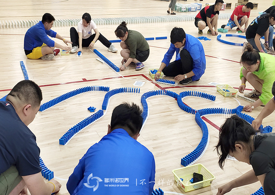 拜耳多米諾團隊大挑戰