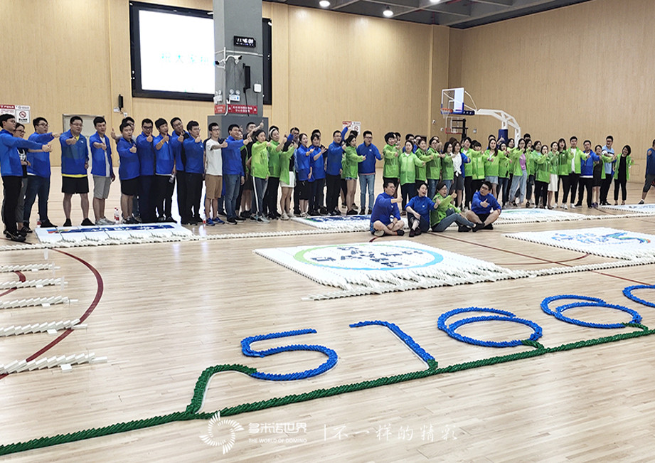 拜耳多米諾團隊大挑戰