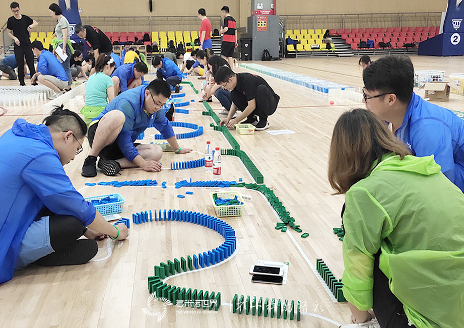 拜耳多米諾團隊大挑戰