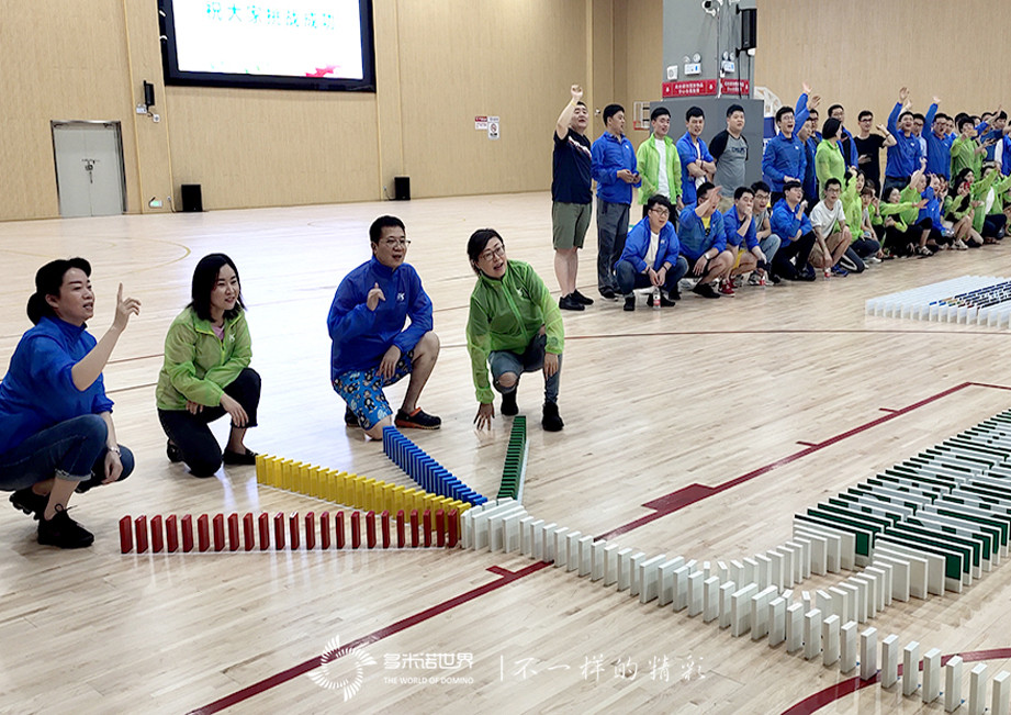 拜耳多米諾團隊大挑戰