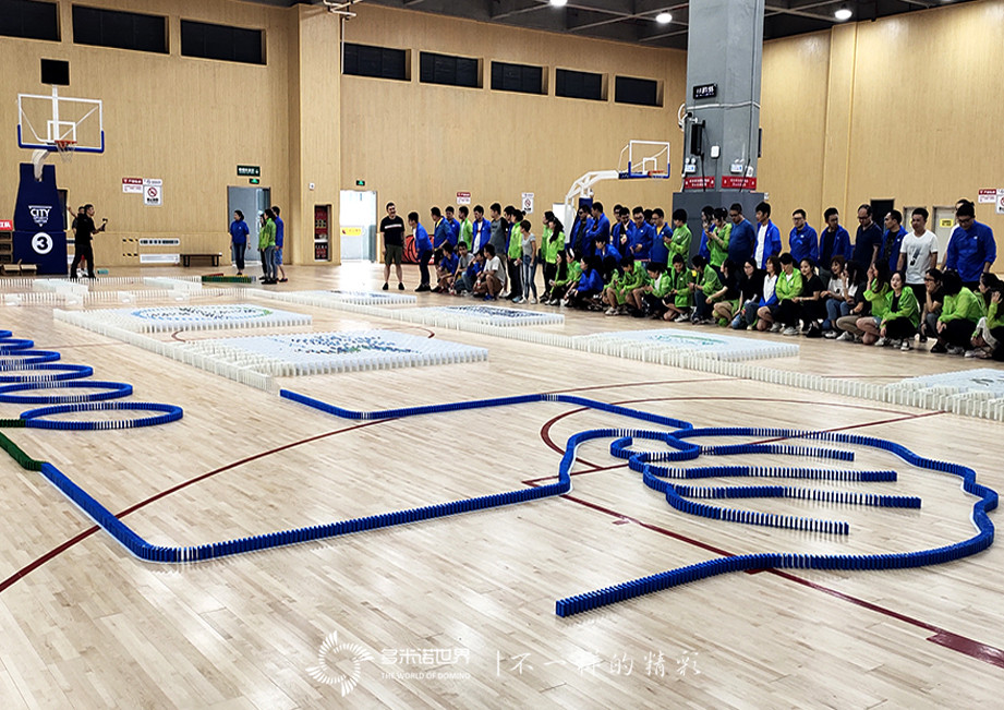 拜耳多米諾團隊大挑戰