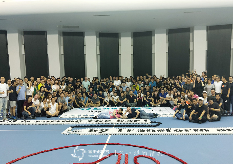 西門子多米諾團隊大挑戰