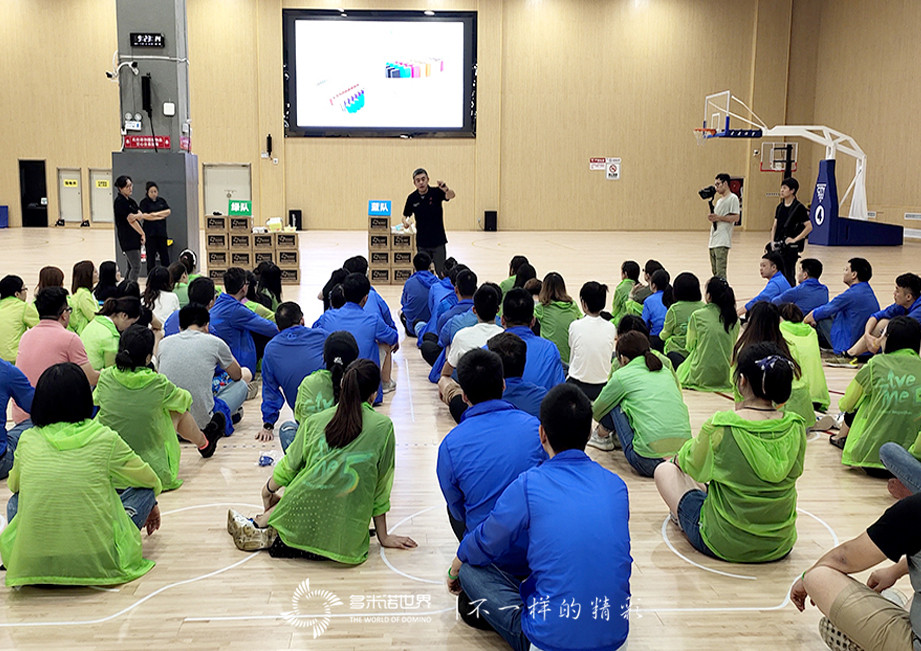 拜耳多米諾團隊大挑戰