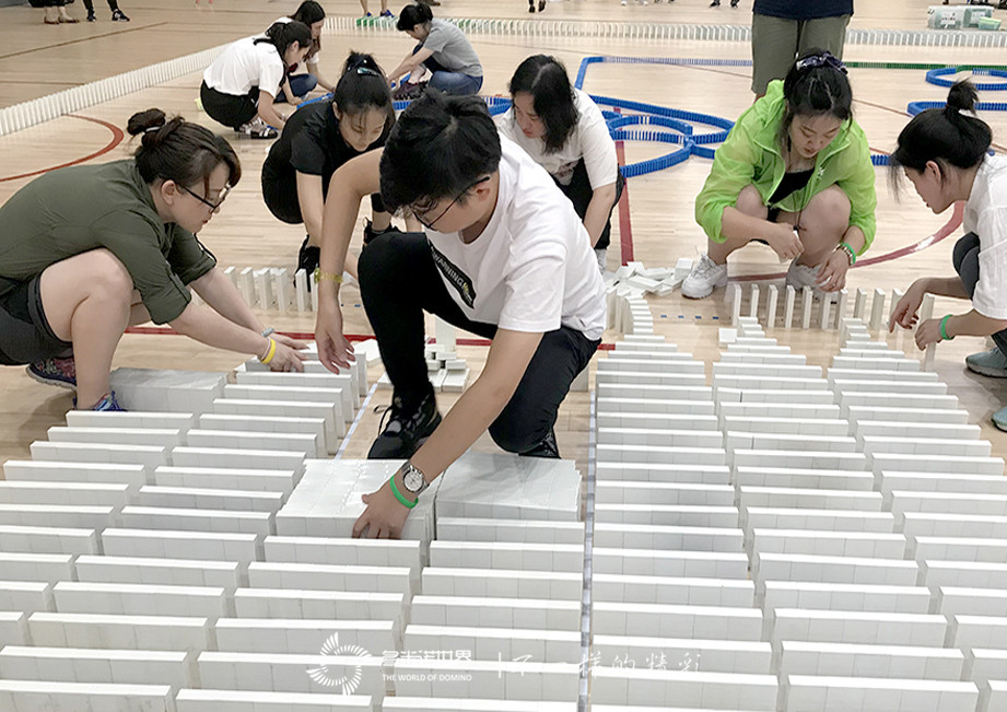 拜耳多米諾團隊大挑戰