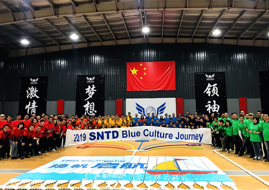 諾華藍色文化之旅，在多米諾世界揚帆啟航