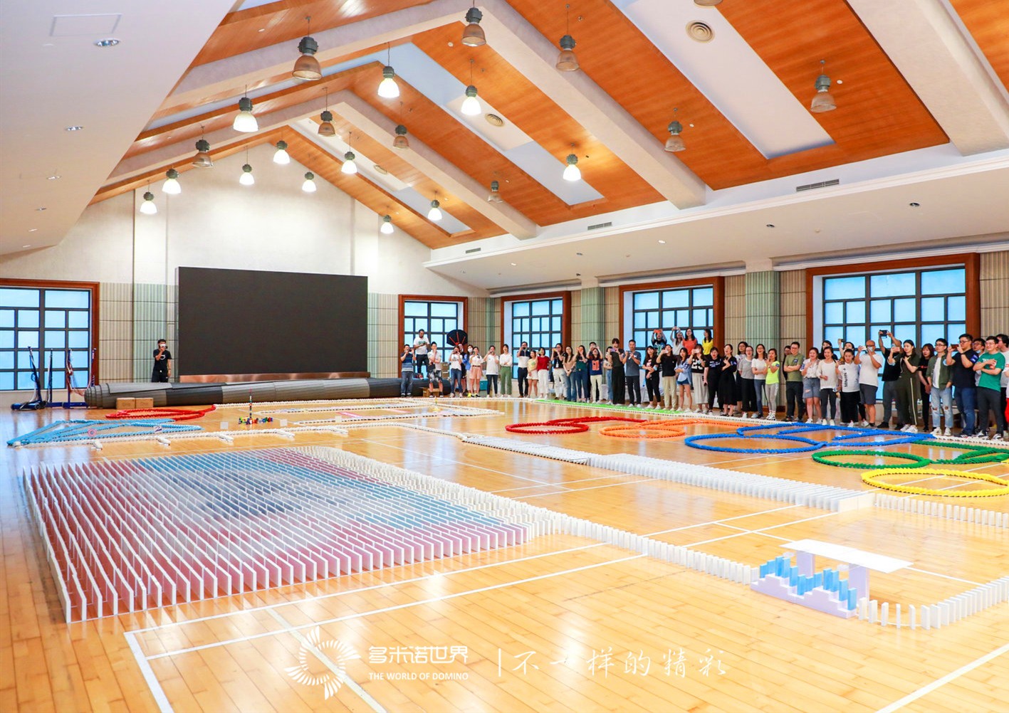 包容協作-達能CBS部門多米諾團隊活動