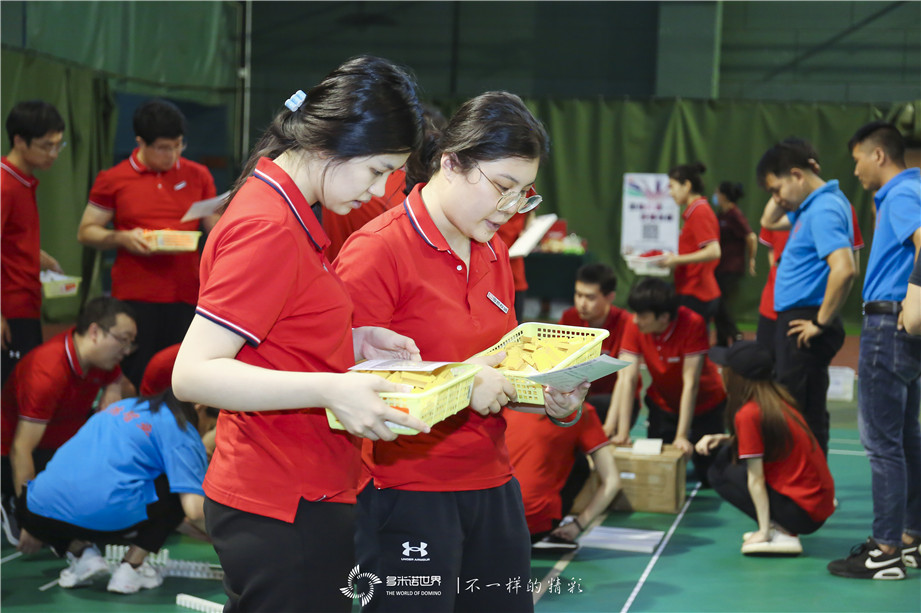 國新投資多米諾團隊大挑戰